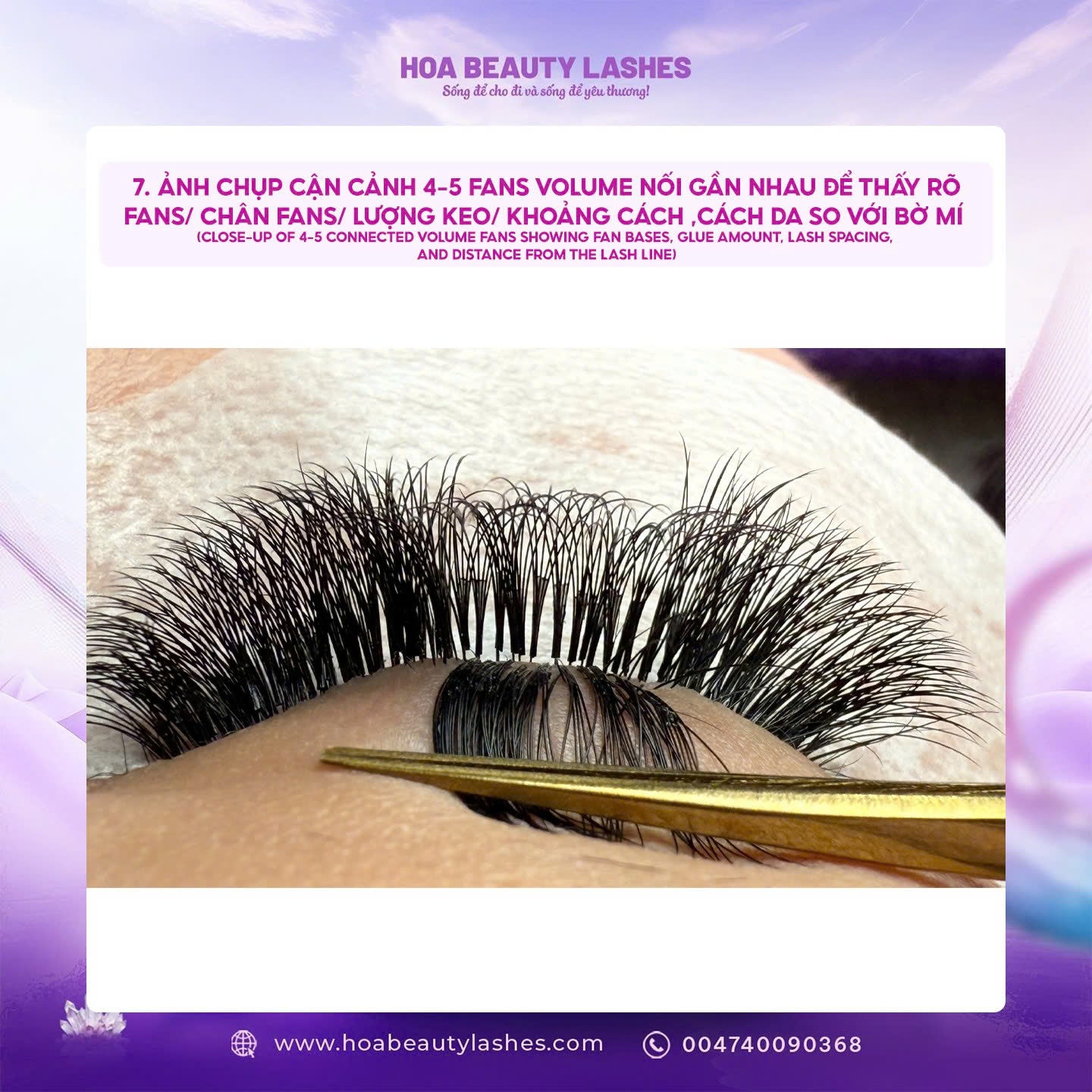 INTERNATIONAL LASH COMPETITION ONLINE 2026