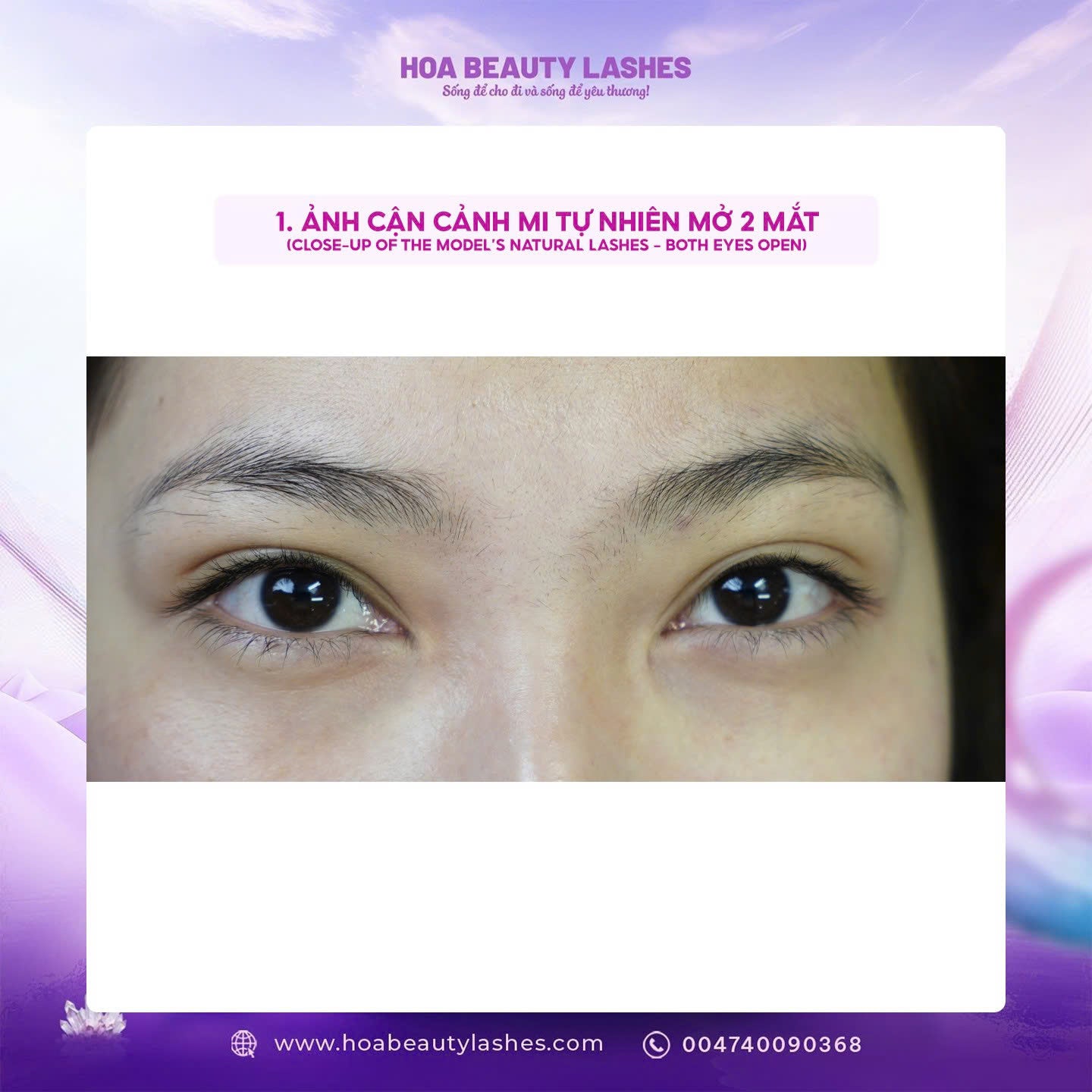 INTERNATIONAL LASH COMPETITION ONLINE 2026